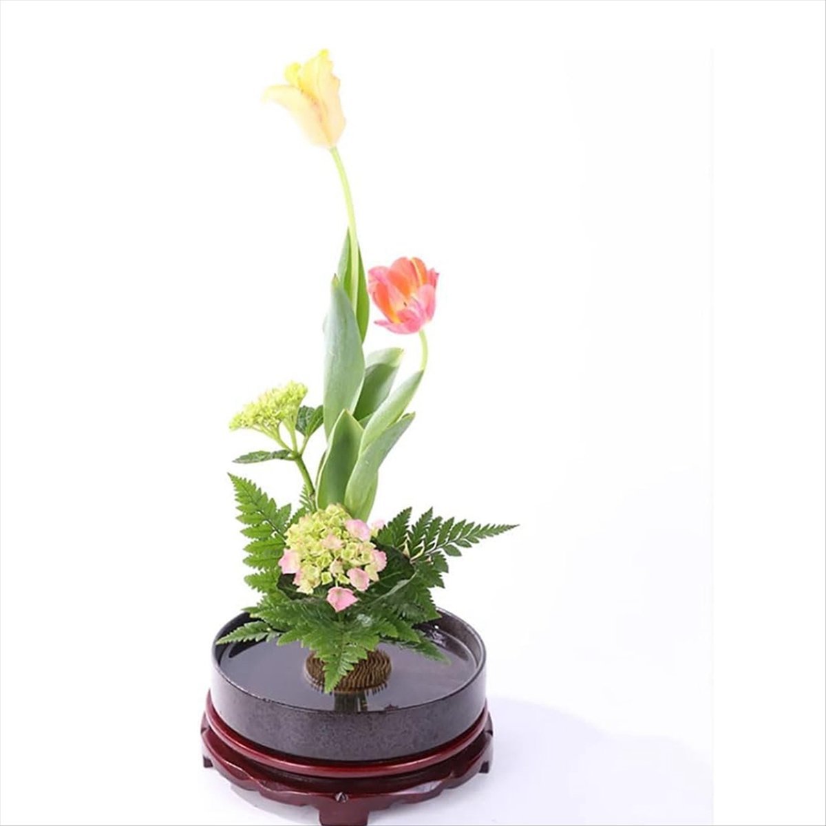 Flower Frog Pin - KSOL 12個入りフラワーフロッグ、ケンザンピンフロッグ丸型真鍮フラワーホルダー、フラワーアレンジメント用花瓶、花固定ツール