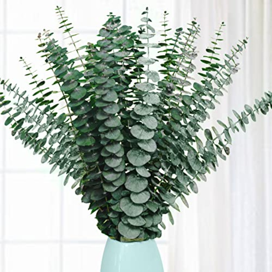 Eucalyptus Preserved - 20本のプリザーブドドライユーカリの茎、17インチの天然ユーカリの枝（シャワー用）、本物の植物（花瓶の飾り用）、乾燥植物