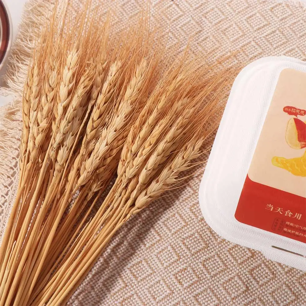 50個入り 人工花 ナチュラル ドライ小麦茎 DIYクラフト - Eucalyptus Preserved のレビューと価格