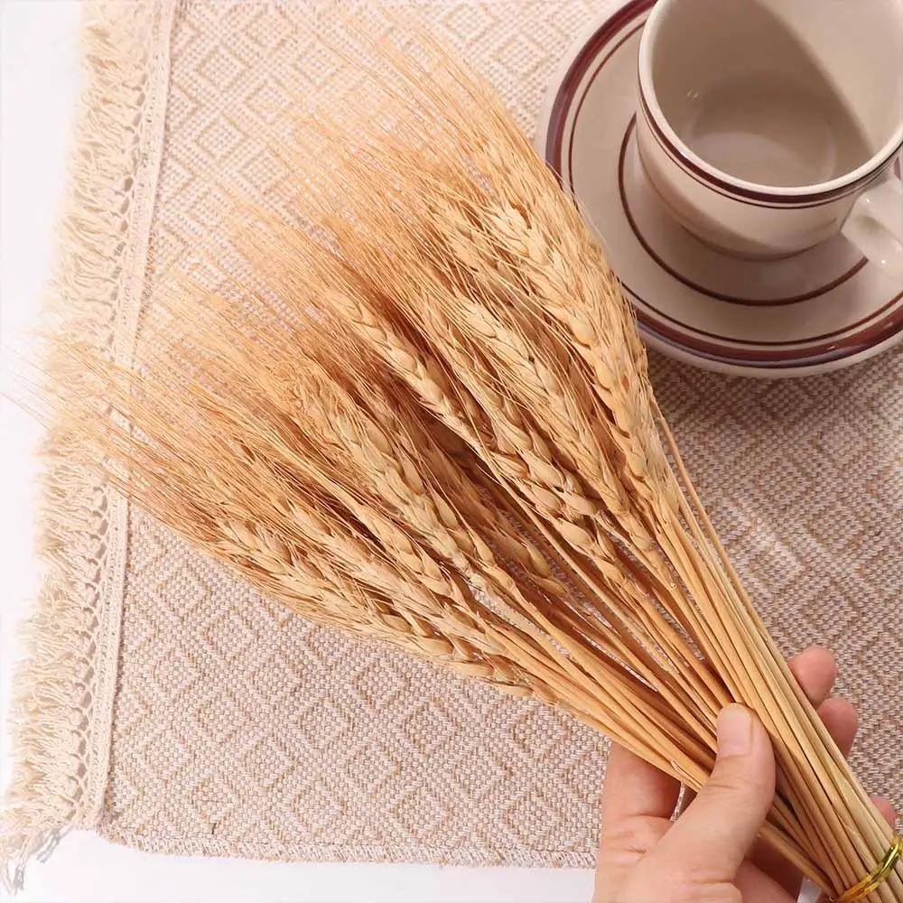 50個入り 人工花 ナチュラル ドライ小麦茎 DIYクラフト - Eucalyptus Preserved のレビューと価格