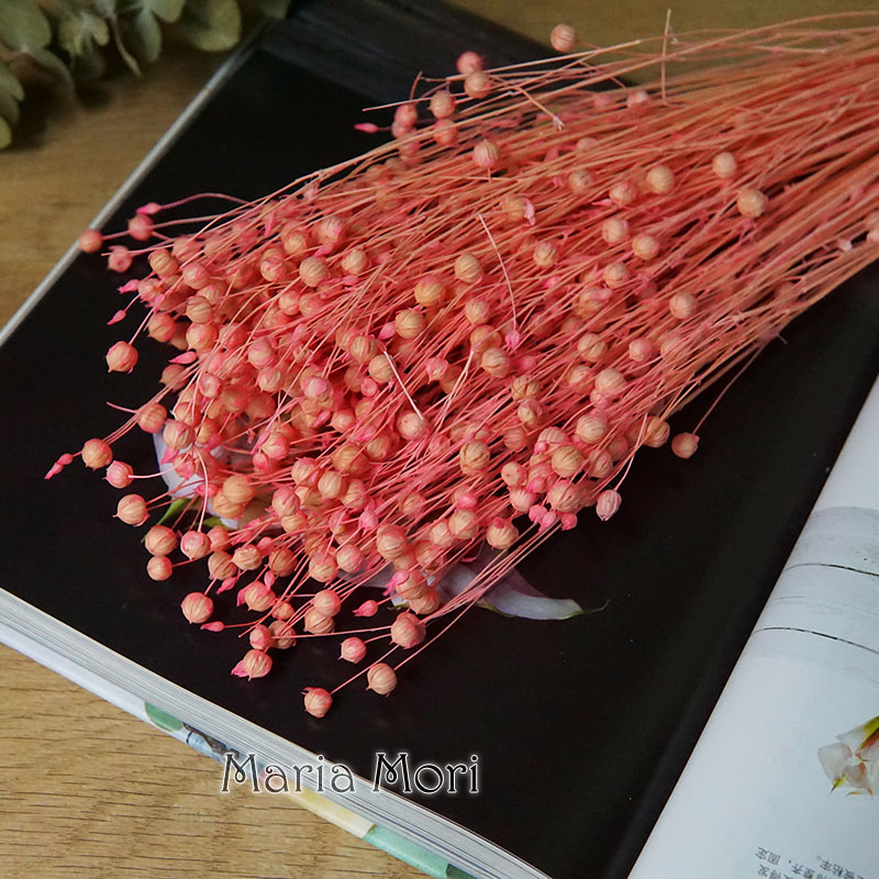 35g/保存されたオルモシア・ホシエ天然本物の花カラフルな乾 - Eucalyptus Preserved のレビューと価格