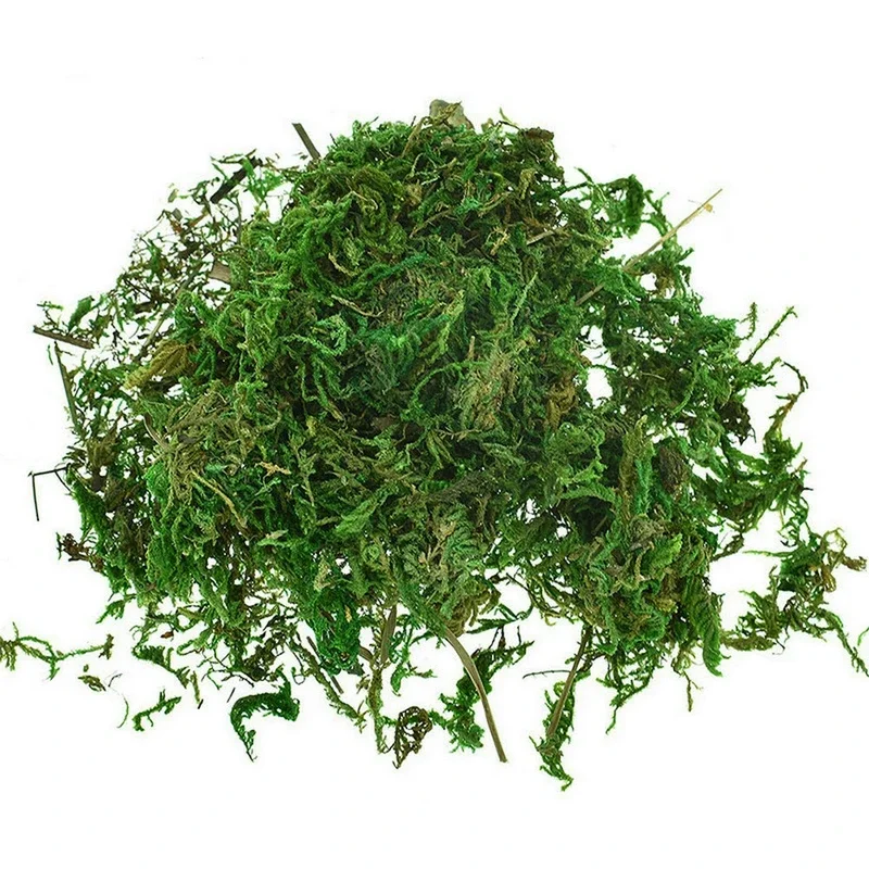 本物の緑の苔の装飾植物、人工芝、絹の花、花瓶、植木鉢装飾用ア - Preserved Moss Sheet のレビューと価格
