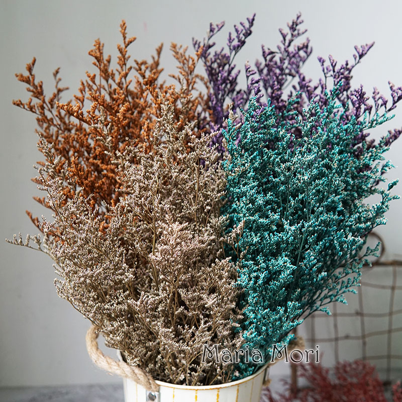 70g/プリザーブドバレンタイングラス リモニアフラワー ラ - Eucalyptus Preserved のレビューと価格