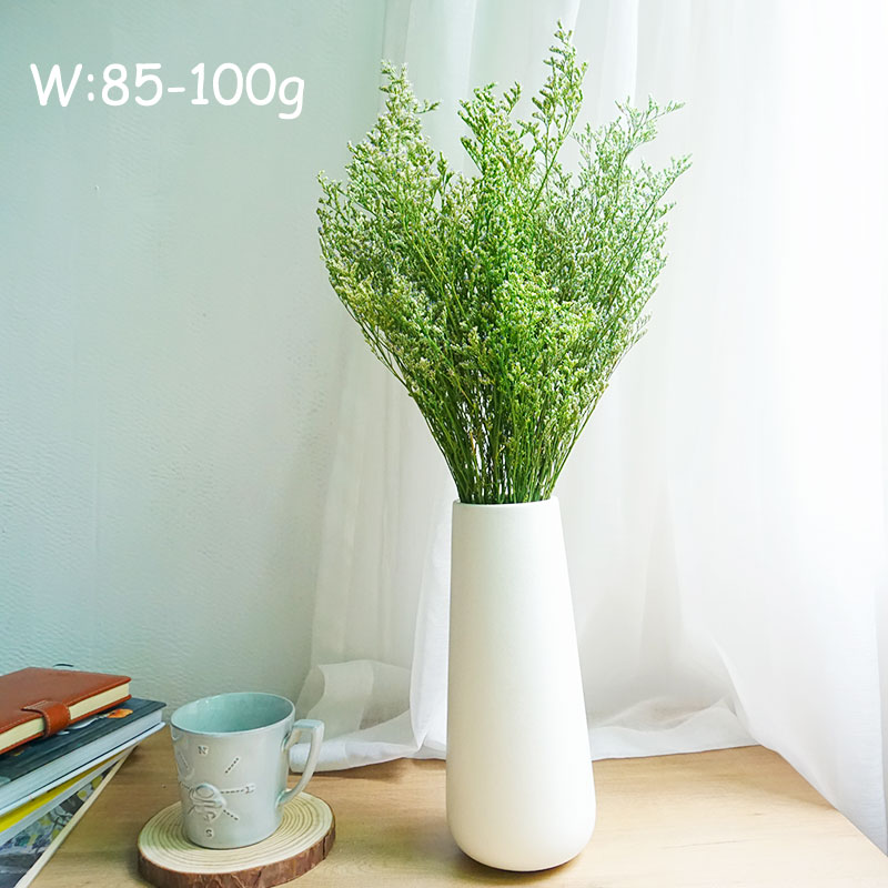 70g/プリザーブドバレンタイングラス リモニアフラワー ラ - Eucalyptus Preserved のレビューと価格