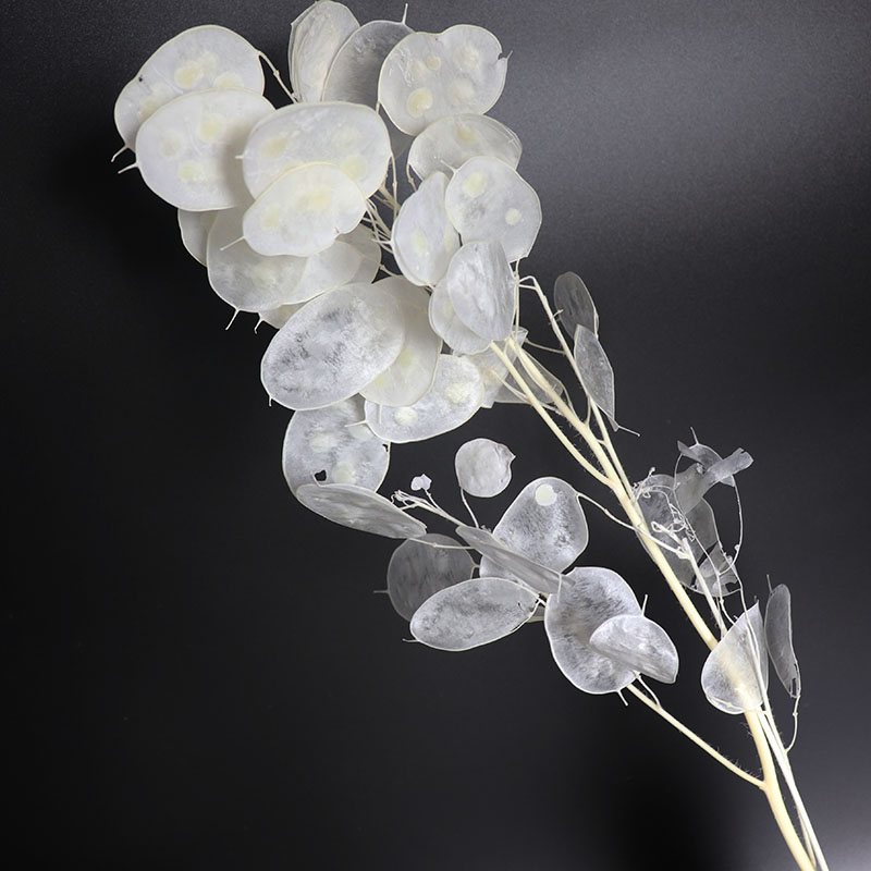 結婚式のアレンジメントのための保存されたルナリアの花、ユーカ - Eucalyptus Preserved のレビューと価格