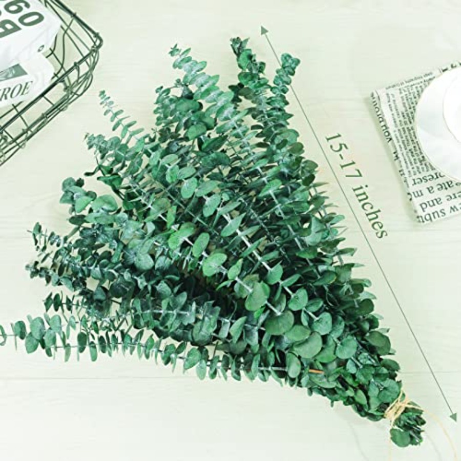 20本のプリザーブドドライユーカリの茎、17インチの天然ユー - Eucalyptus Preserved のレビューと価格