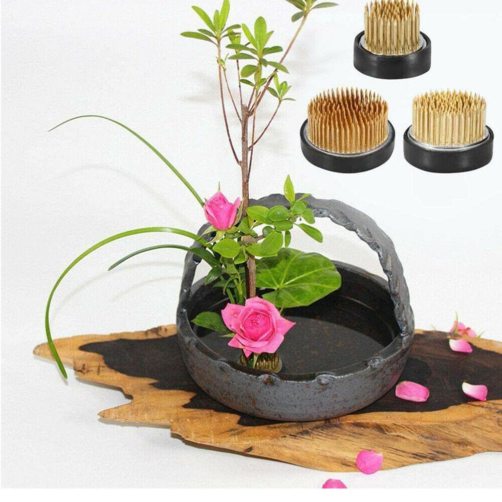 ラウンド生け花フラワーカエルガスケットアート固定アレンジメン - Flower Frog Pin のレビューと価格