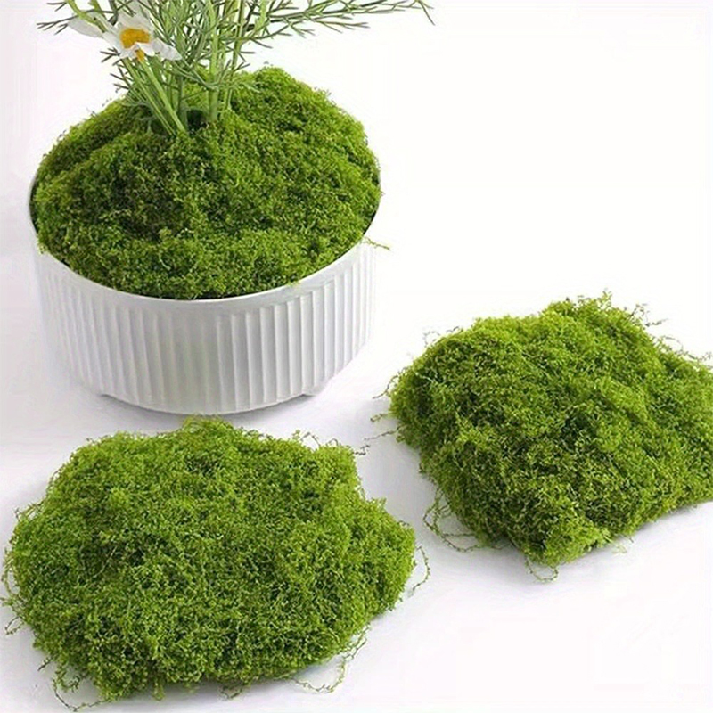 グリーンフェイクモス DIY 工芸品草人工苔フェイクプリザー - Preserved Moss Sheet のレビューと価格