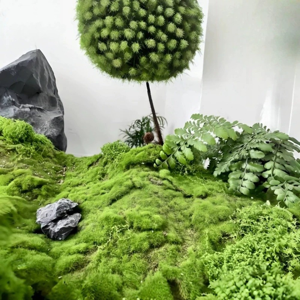 DIY人工芝ラグ 耐久性 水やり不要 人工モスパッド 本物そ - Preserved Moss Sheet のレビューと価格